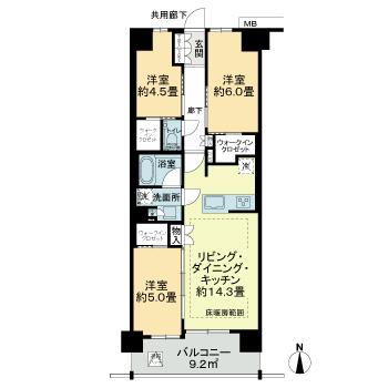 803号室