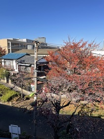 302号室 8
