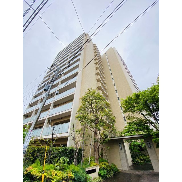 903号室 4