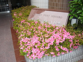 302号室 9