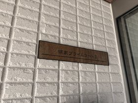 203号室 19