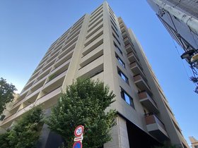 11階 8