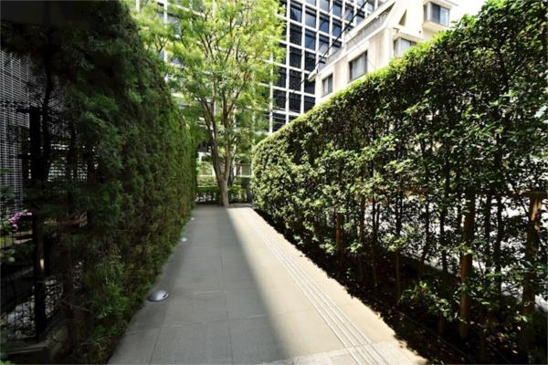 フォレセーヌ赤坂氷川町 6