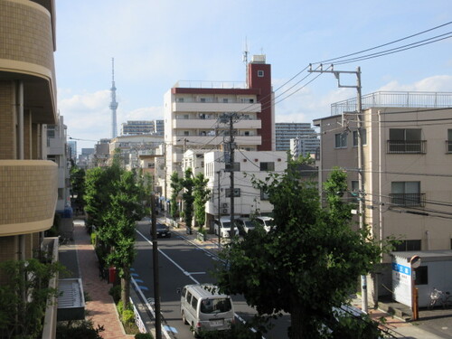 305号室 6