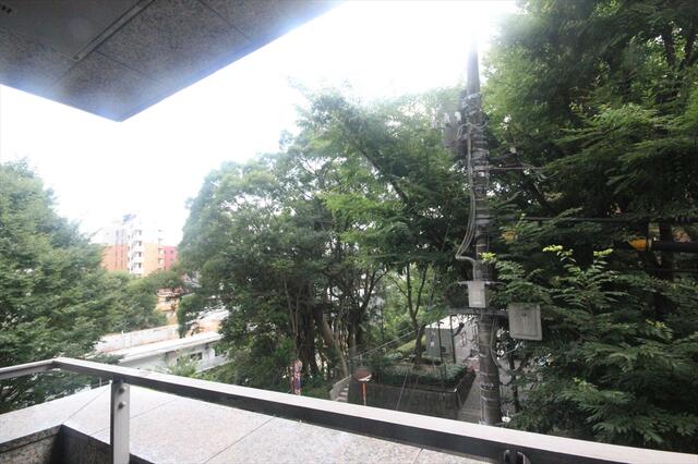 303号室 9