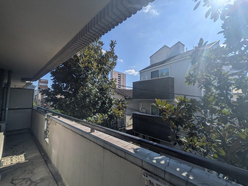 203号室 の間取り図
