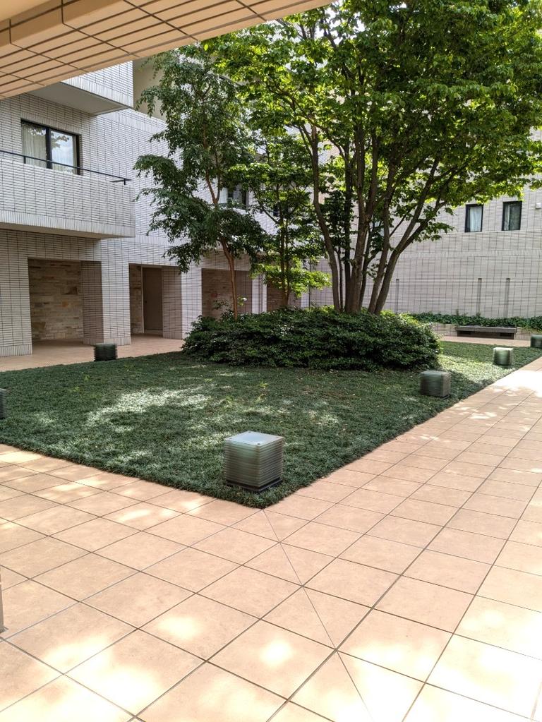 5階 8