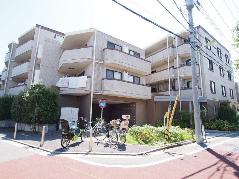 アデニウム千歳烏山