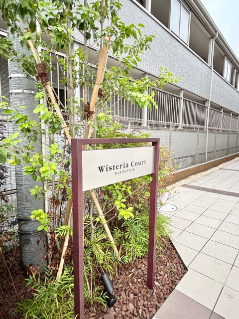 Wisteria Court 2