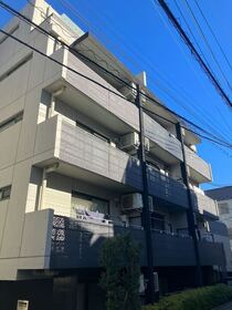 D. Lusso小石川