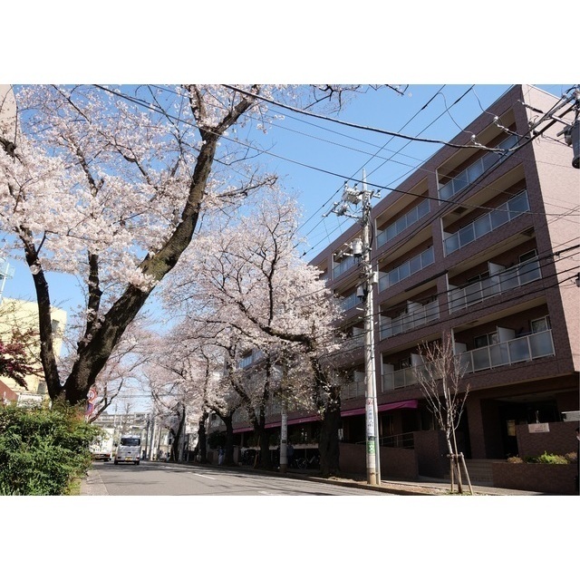 508号室 7