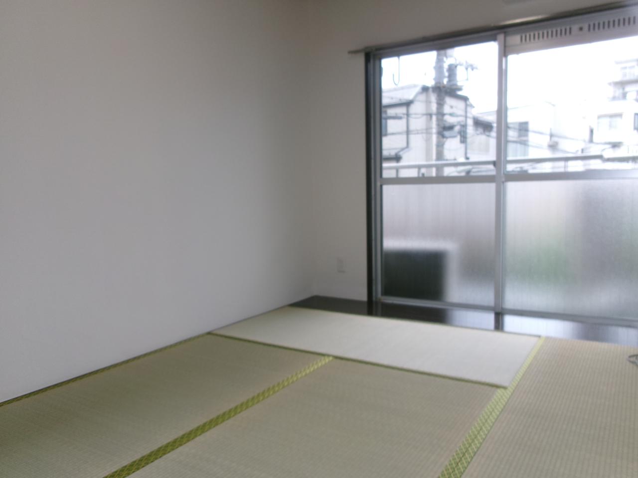 217号室 3