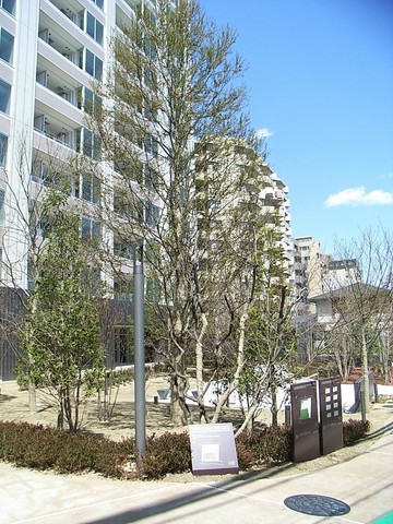 303号室 3