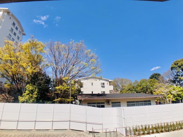 513号室 8