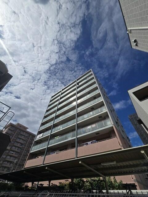 ラビドール亀戸