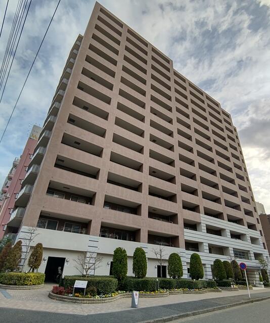 アデニウム新横浜